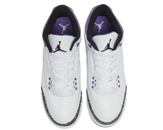 Air Jordan 3 Retro Sneakers | Dark Iris